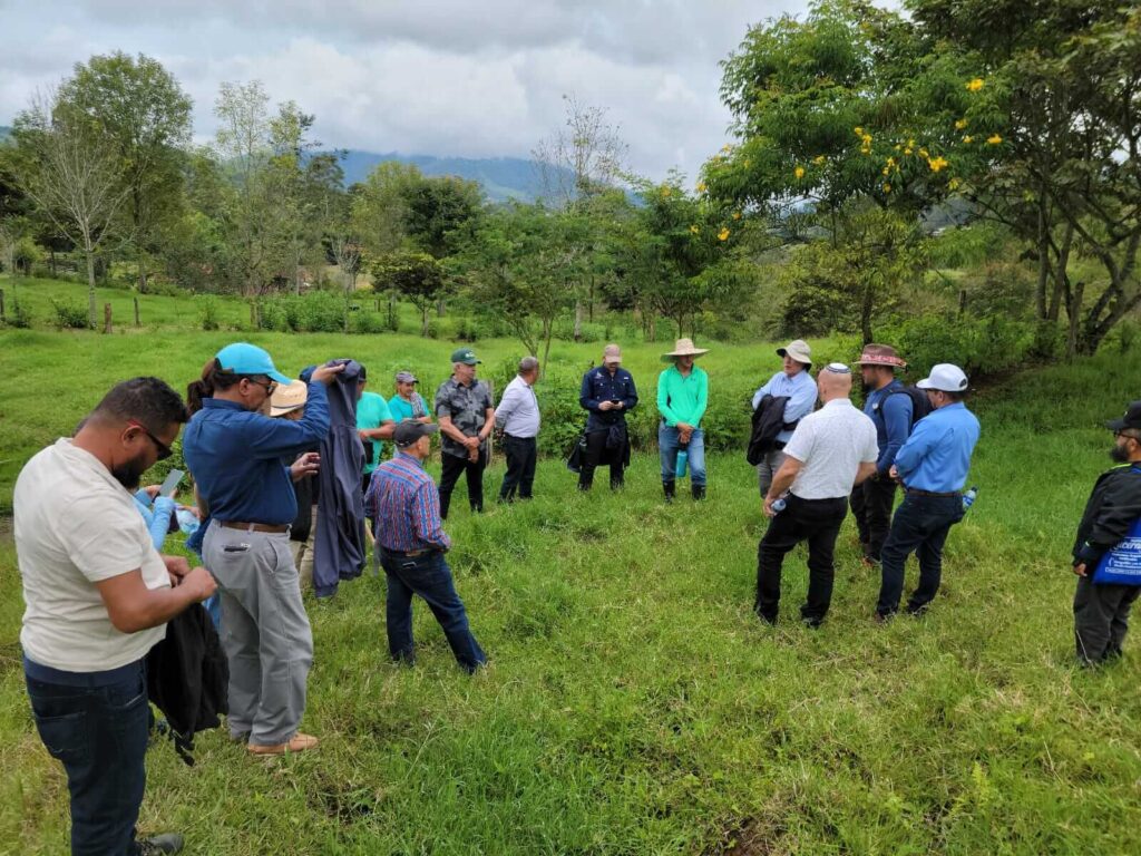 Ganadería sostenible en Colombia