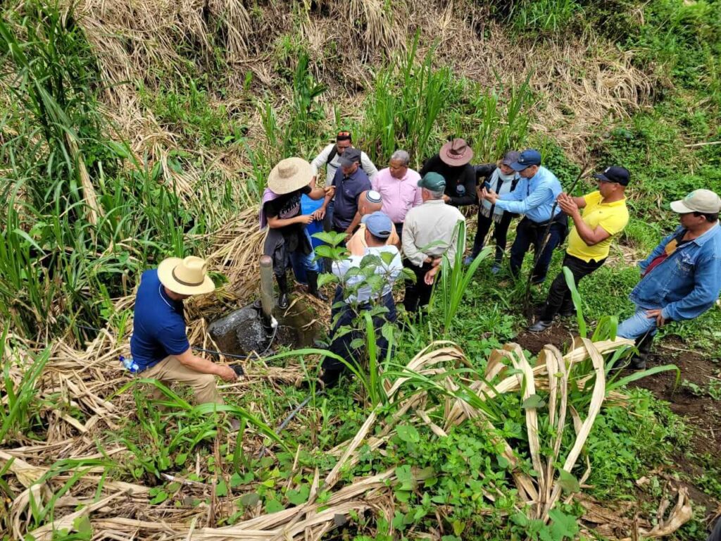 Ganadería sostenible en Colombia