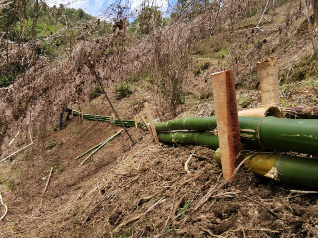 Restauración de Ecosistemas Frágiles en la Microcuenca Arraiján