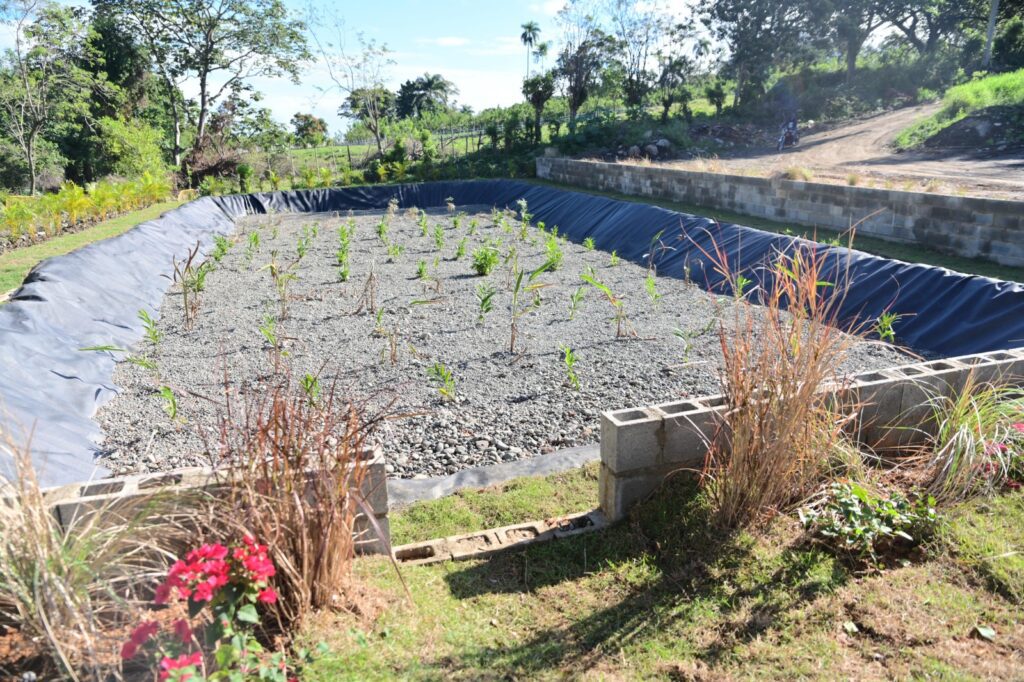 Humedal Artificial Barrio Hipólito – Pinar Quemado, Jarabacoa