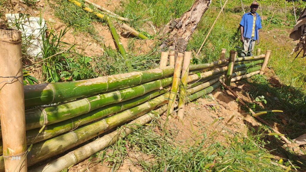 Fomento y Protección de la Cobertura Arbórea en la Cuenca del Río Yaque del Norte – Fase II