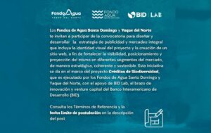 Fondo Convocatoria