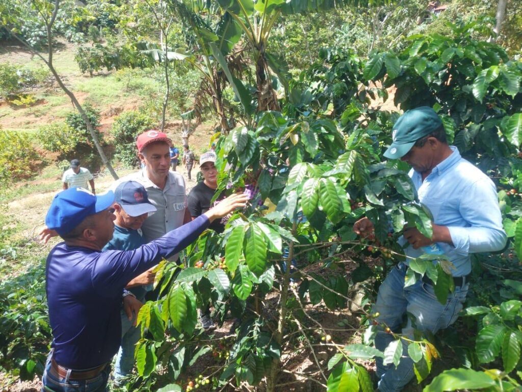 Conservación de zonas de recarga hídrica en las microcuencas Jagua y Baiguaque