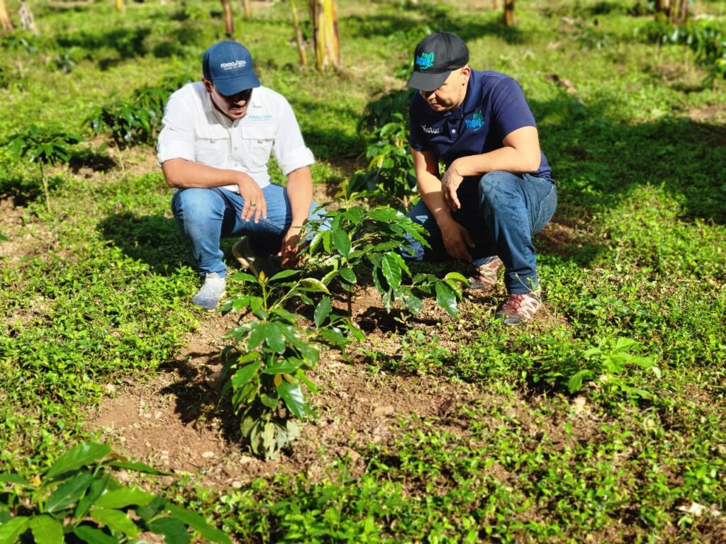 Fomento Agroforestal en Áreas Amenazadas en la Cuenca del Río Guanajuma