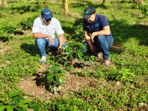Fomento Agroforestal en Áreas Amenazadas en la Cuenca del Río Guanajuma