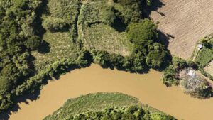 Fortalecimiento de los sistemas silvopastoriles en la Sierra – Segunda etapa