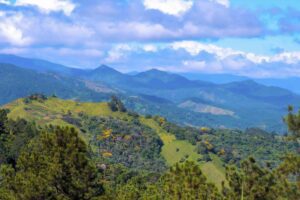 Fotografía de paisaje natural