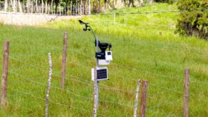 Monitoreo de la calidad del agua para la toma de decisiones en la gestión hídrica