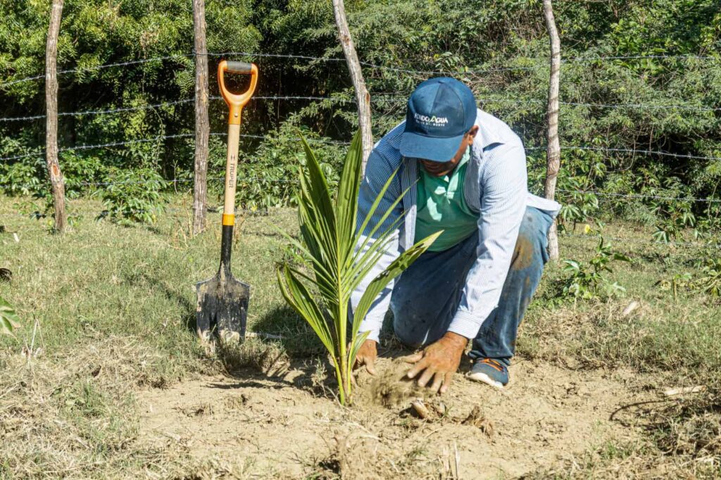 NATIVE: gestión sostenible del paisaje fluvial para comunidades ribereñas resilientes