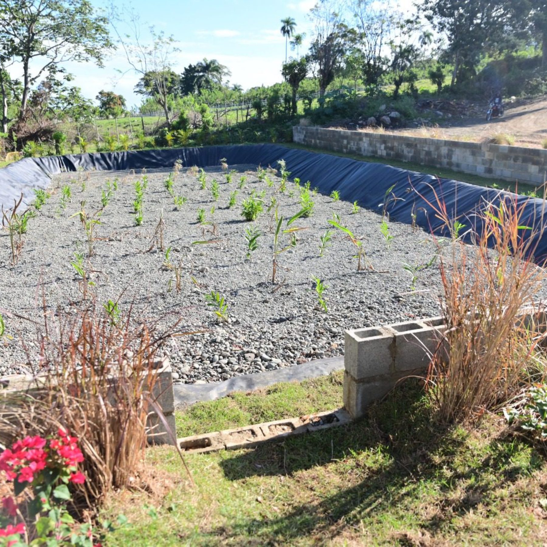 Humedal Artificial Barrio Hipólito – Pinar Quemado, Jarabacoa