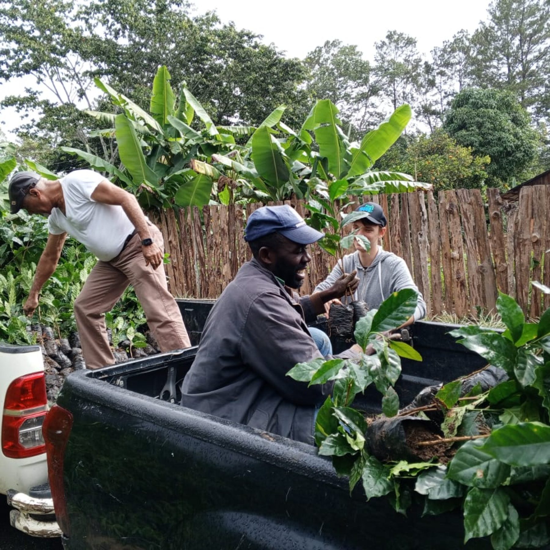 Fomento y Protección de la Cobertura Arbórea en la Cuenca del Río Yaque del Norte – Fase II