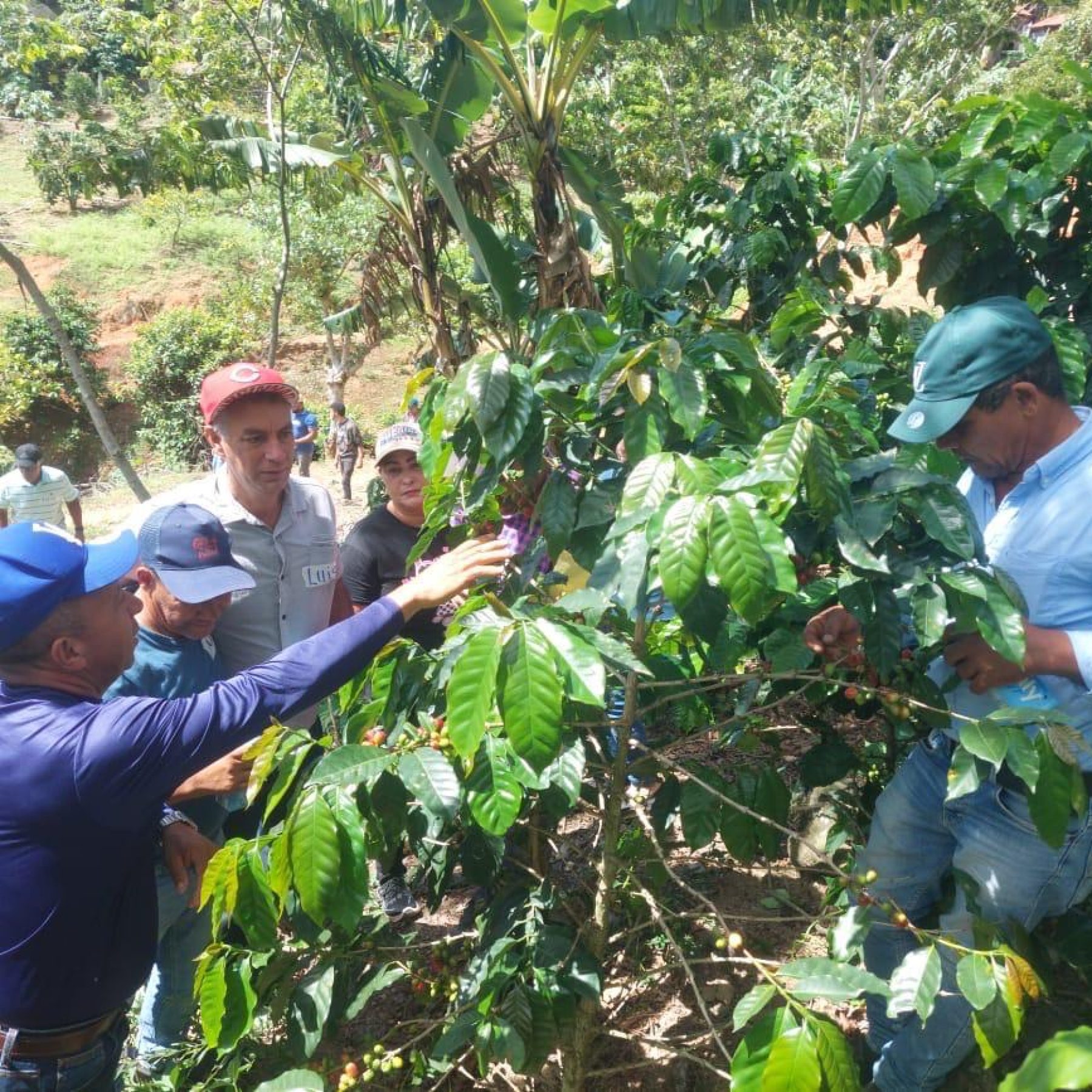 Conservación de zonas de recarga hídrica en las microcuencas Jagua y Baiguaque