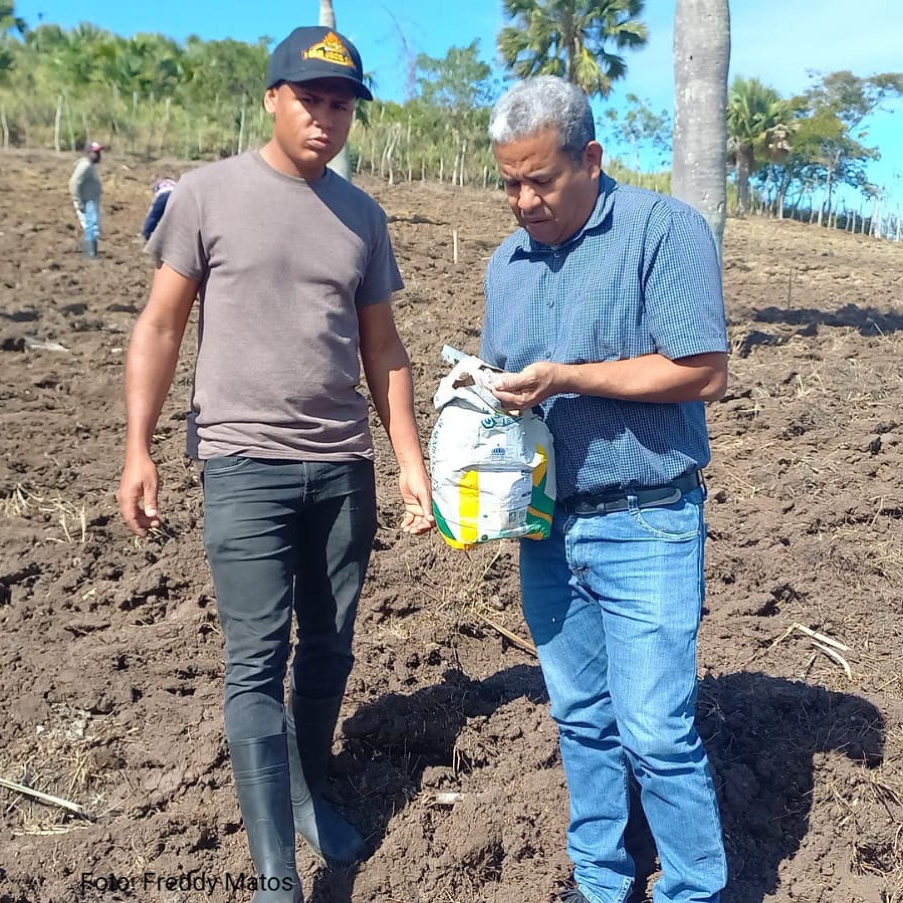 Fortalecimiento de los sistemas silvopastoriles en la Sierra – Segunda etapa