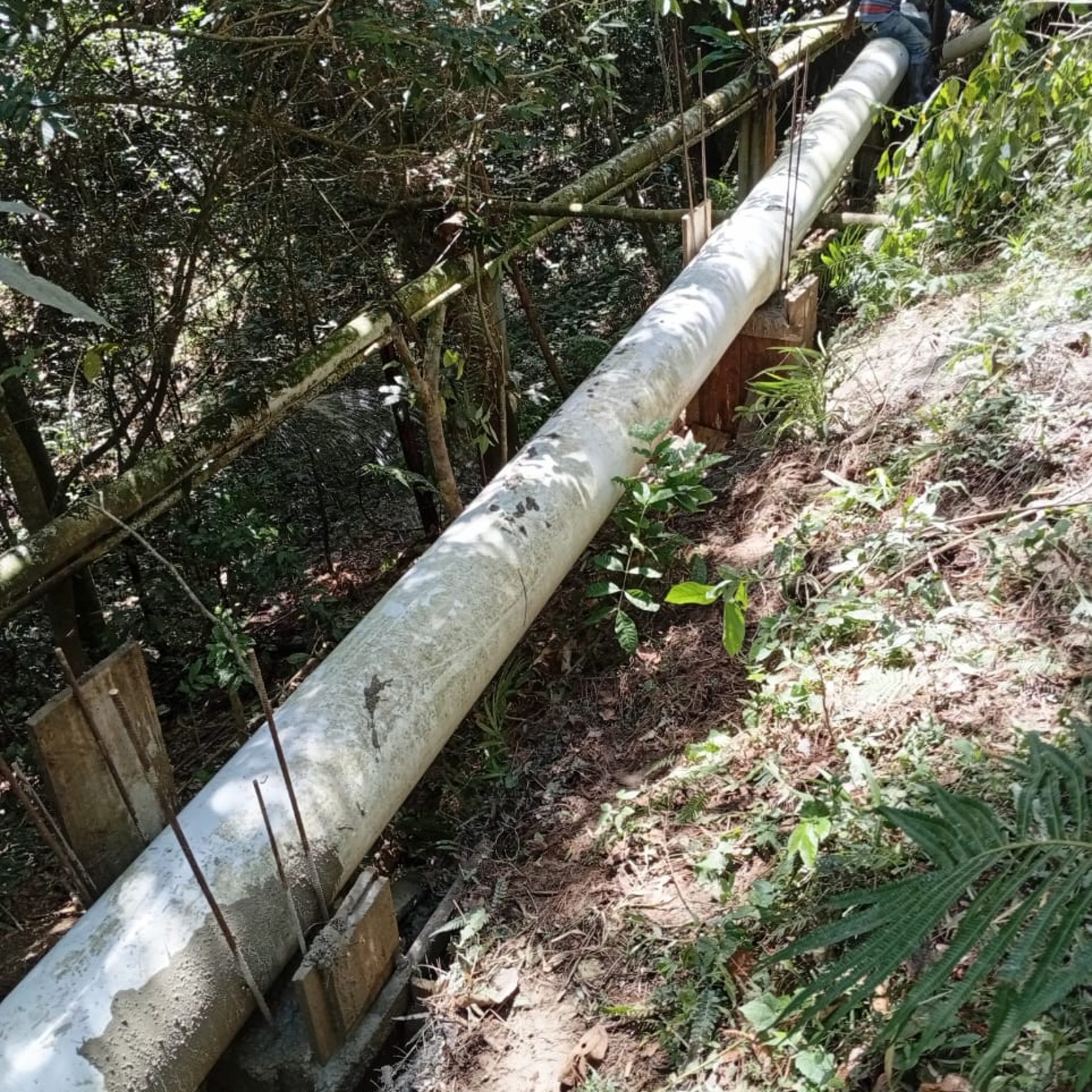 Microhidroeléctrica comunitaria Angostura y acuerdos de conservación (2)