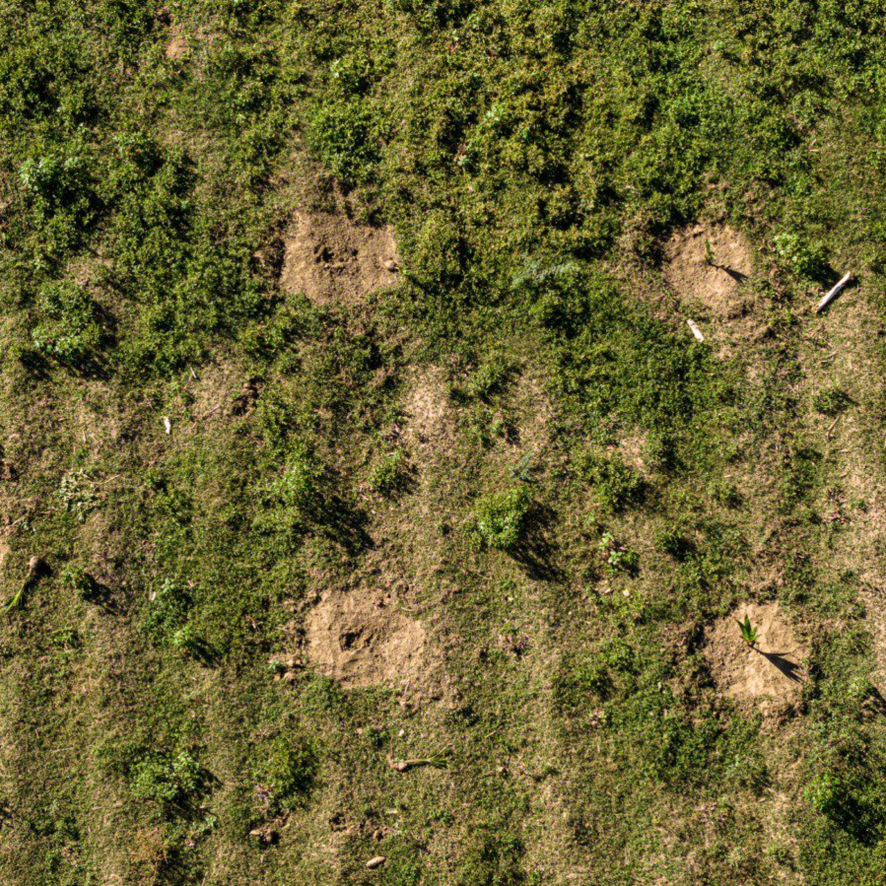 NATIVE gestión sostenible del paisaje fluvial para comunidades ribereñas resilientes