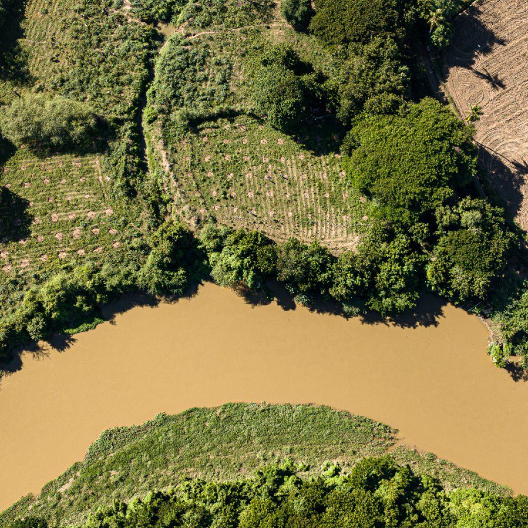 NATIVE gestión sostenible del paisaje fluvial para comunidades ribereñas resilientes