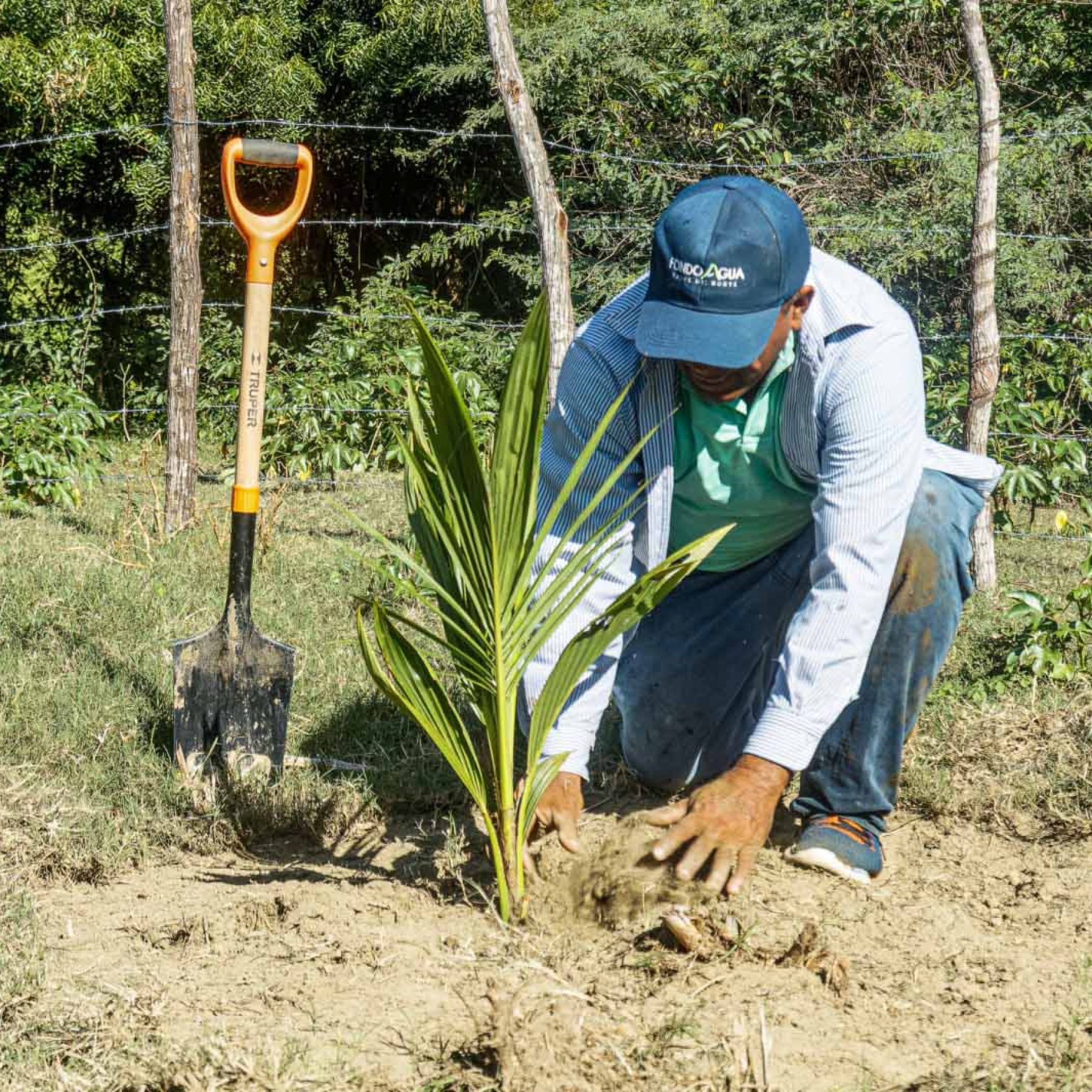 NATIVE: gestión sostenible del paisaje fluvial para comunidades ribereñas resilientes