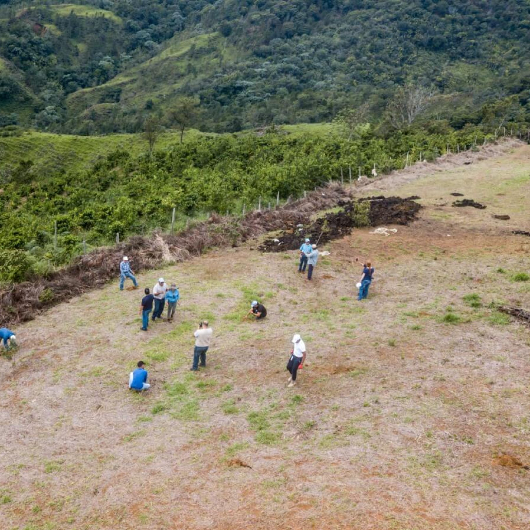 Restauración hídrica microcuenca Guanajuma (13)